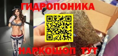 ECSTASY Канаш