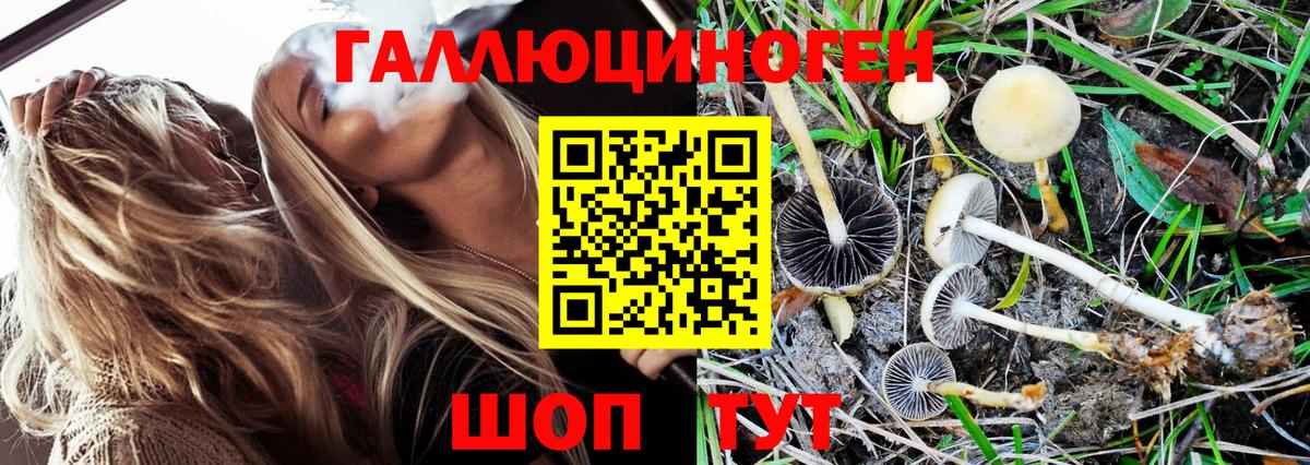 Псилоцибиновые грибы MAGIC MUSHROOMS  Псилоцибиновые грибы прущие грибы  Ленинск-Кузнецкий  Вход с VPN 